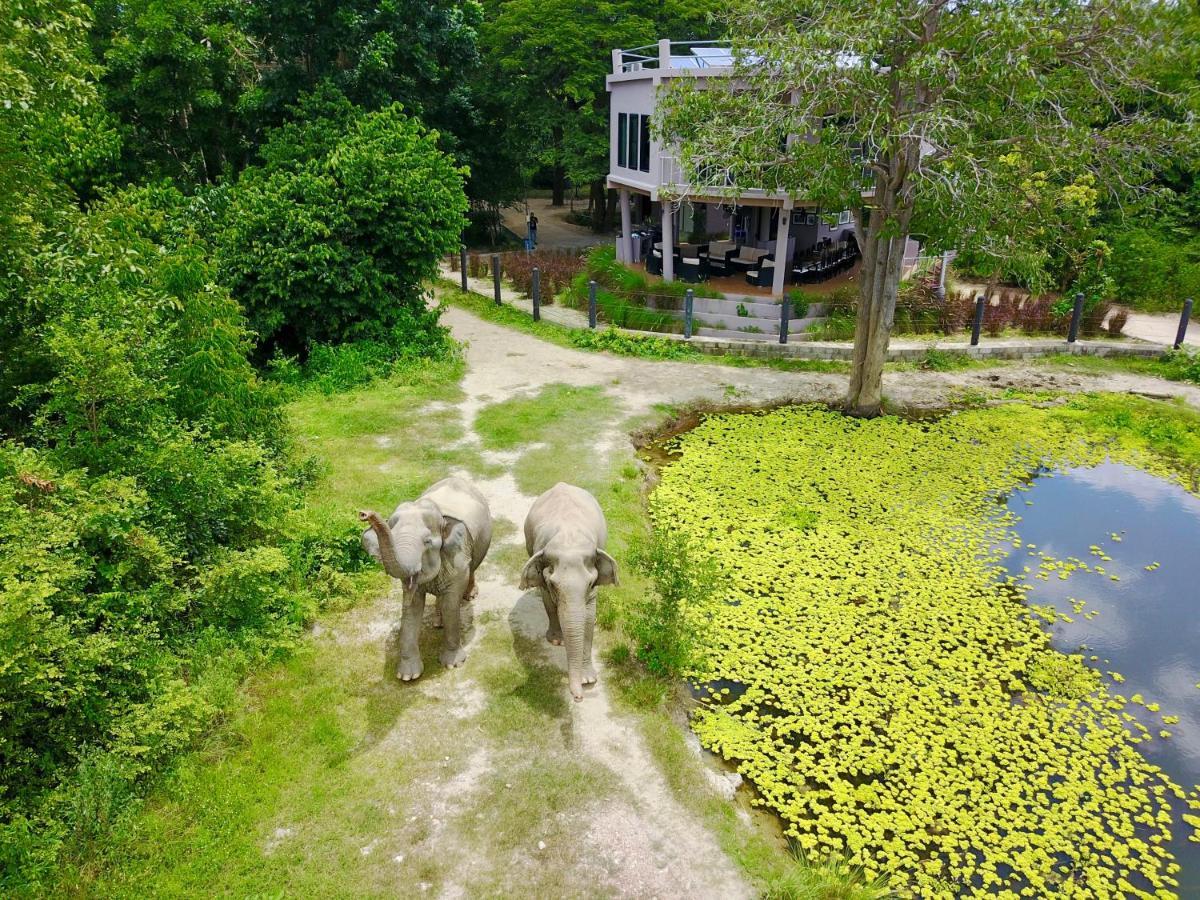 I Love Phants Lodge Ban Huai Thawai Exterior foto
