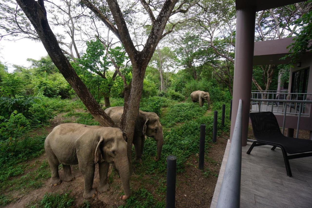 I Love Phants Lodge Ban Huai Thawai Exterior foto