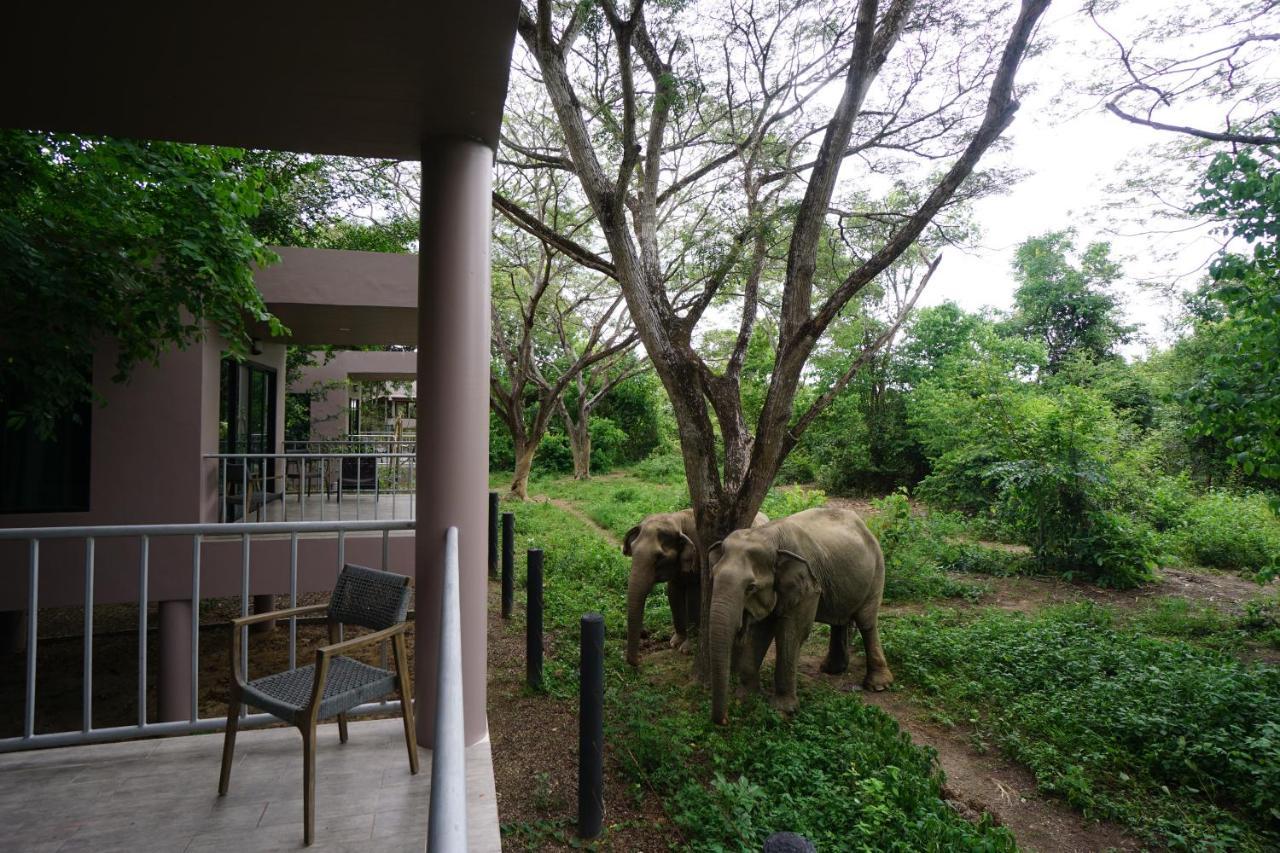 I Love Phants Lodge Ban Huai Thawai Exterior foto