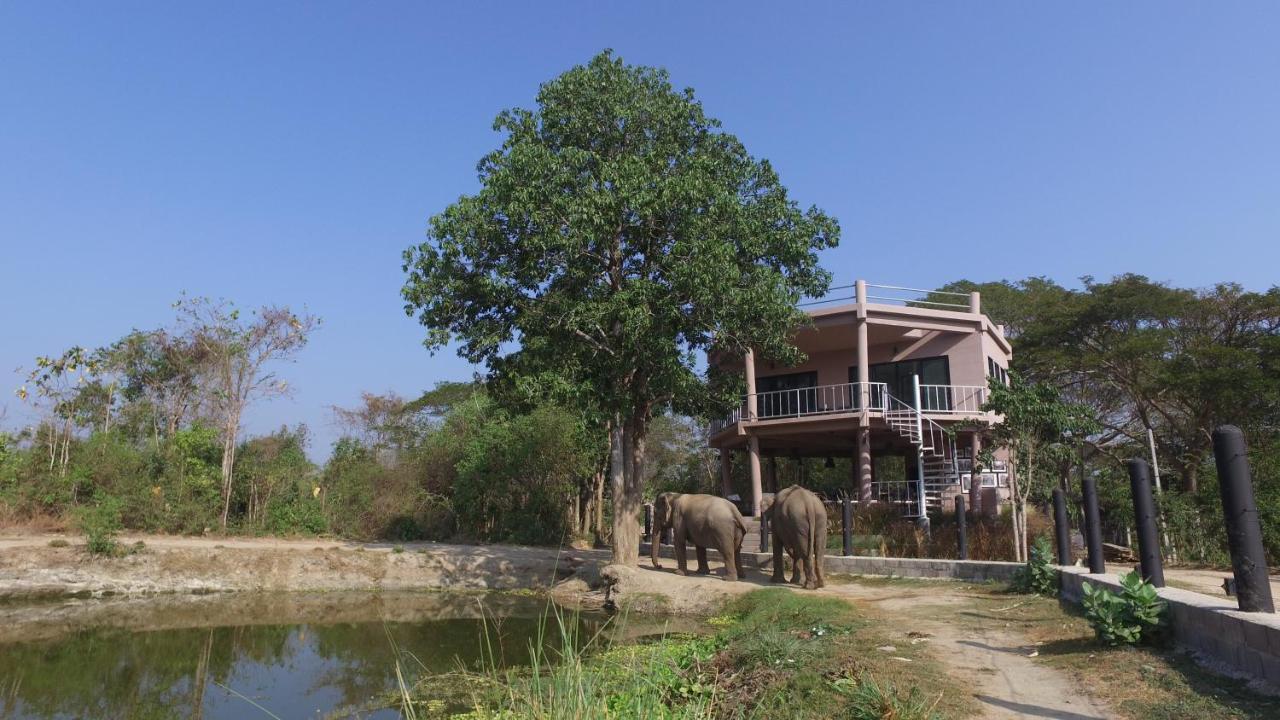 I Love Phants Lodge Ban Huai Thawai Exterior foto