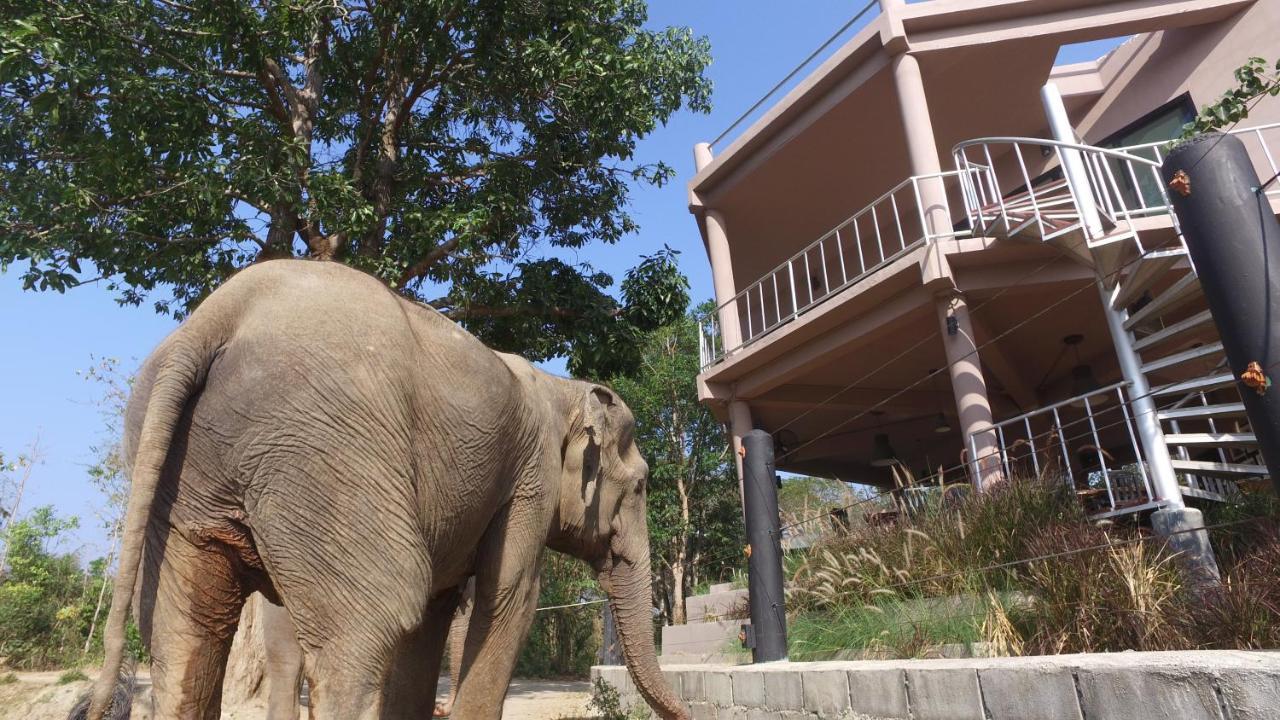I Love Phants Lodge Ban Huai Thawai Exterior foto