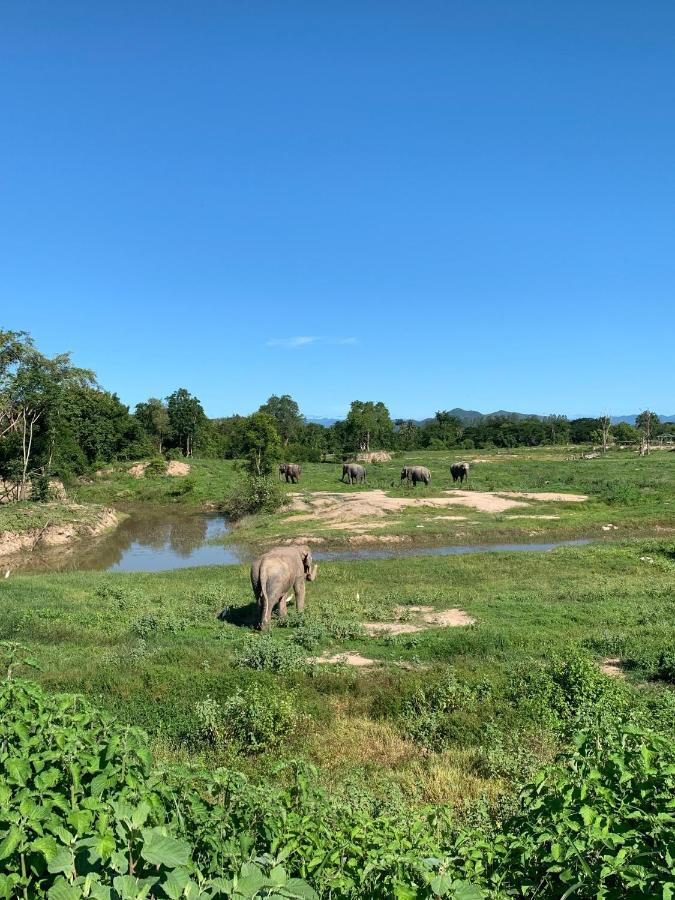I Love Phants Lodge Ban Huai Thawai Exterior foto
