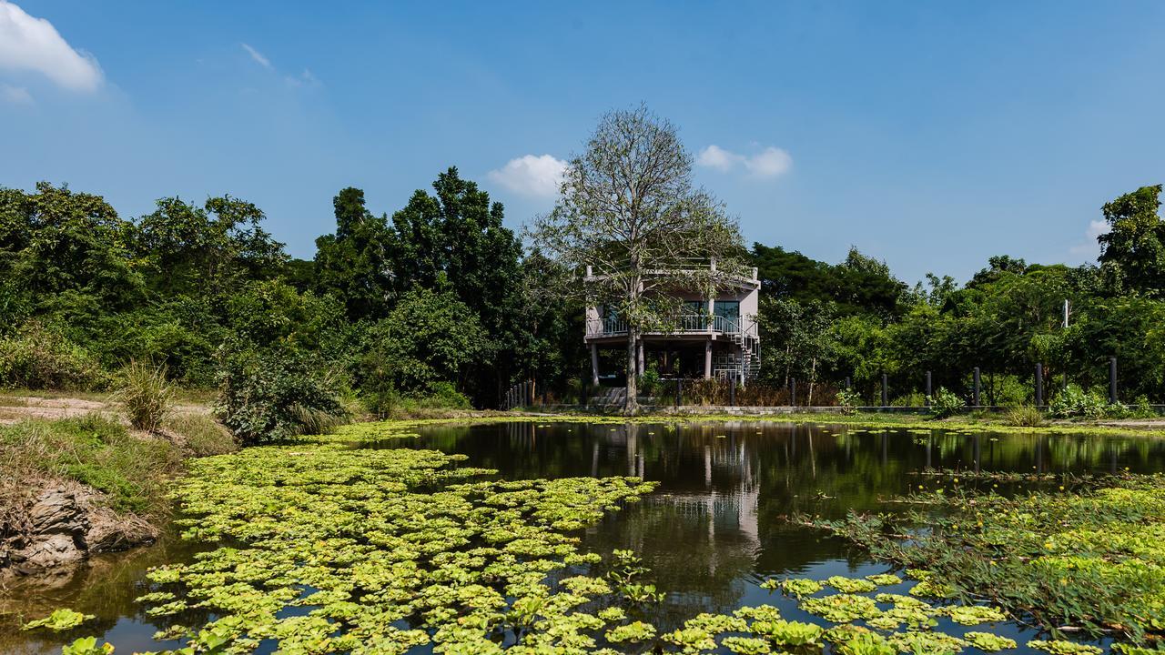 I Love Phants Lodge Ban Huai Thawai Exterior foto